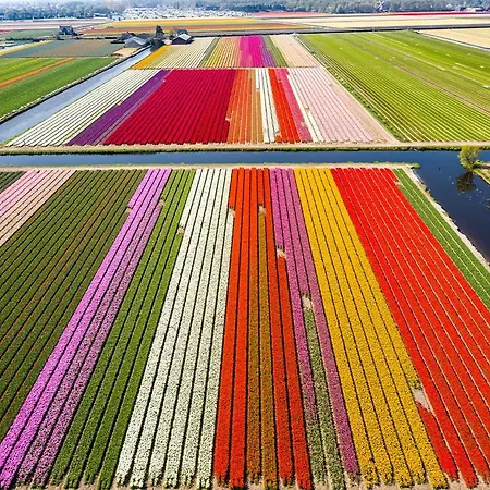 Met Uitzicht Op De Polder Aan Het Water Holiday home Oud Ade