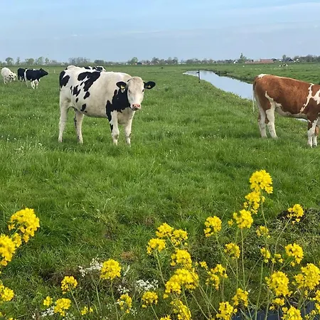 Met Uitzicht Op De Polder Aan Het Water